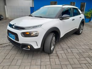 C4 Cactus 2022 (16)