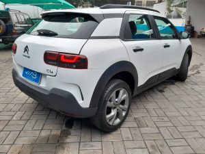 C4 Cactus 2022 (5)