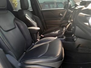 Renegade 2021 h (2)