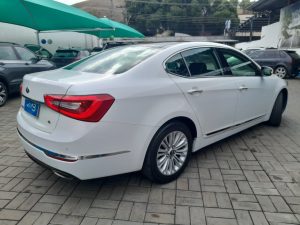 Cadenza 2015 h (15)