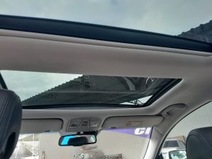 Cadenza 2015 h (17)