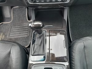 Cadenza 2015 h (6)