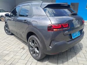 C4 Cactus 2020 h (10)