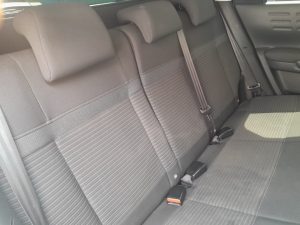 C4 Cactus 2020 h (11)