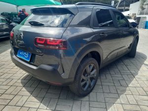 C4 Cactus 2020 h (12)