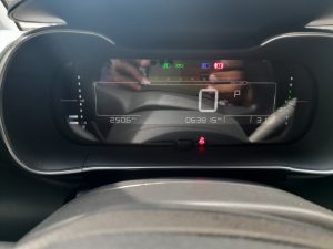 C4 Cactus 2020 h (2)
