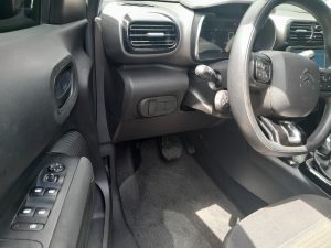 C4 Cactus 2020 h (3)