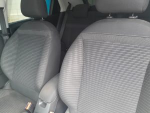 C4 Cactus 2020 h (4)