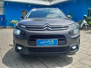 C4 Cactus 2020 h (5)