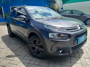 C4 Cactus 2020 h (7)