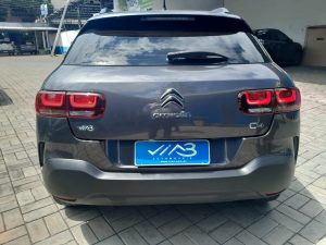 C4 Cactus 2020 h (9)