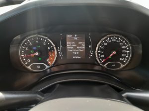 Renegade 2020 h (20)