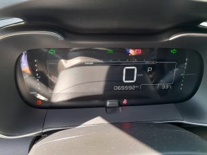 C4 Cactus 2020 h (12)
