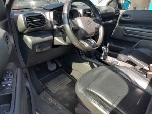 C4 Cactus 2020 h (13)