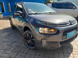 C4 Cactus 2020 h (14)