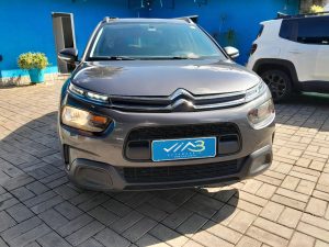 C4 Cactus 2020 h (16)