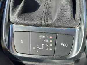 C4 Cactus 2020 h (2)