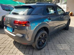 C4 Cactus 2020 h (6)