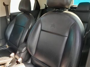 C4 Cactus 2020 h (9)