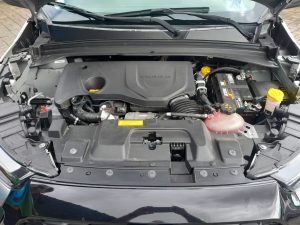 Toro 2024 h (21)